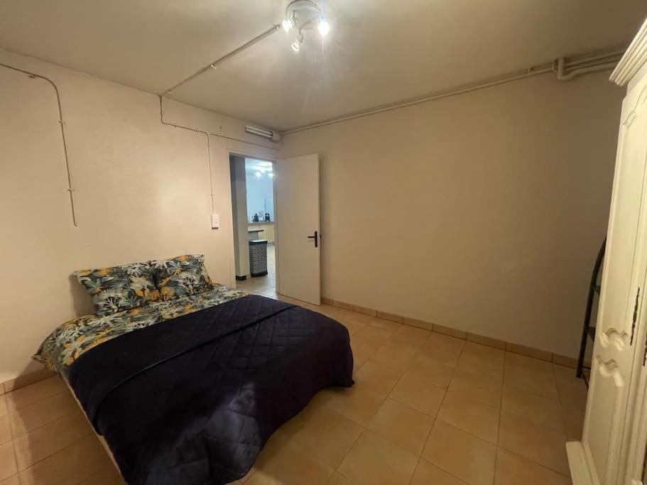 Appartement Independant En Rdc Chez Habitant Lannemezan Kültér fotó